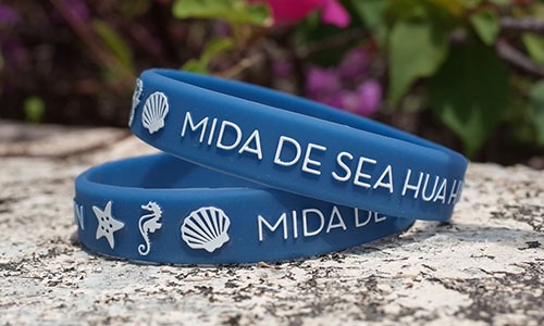 ริสแบนด์ปั๊มนูน